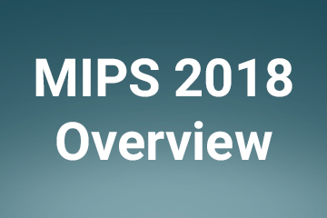 WCH Mips Overview